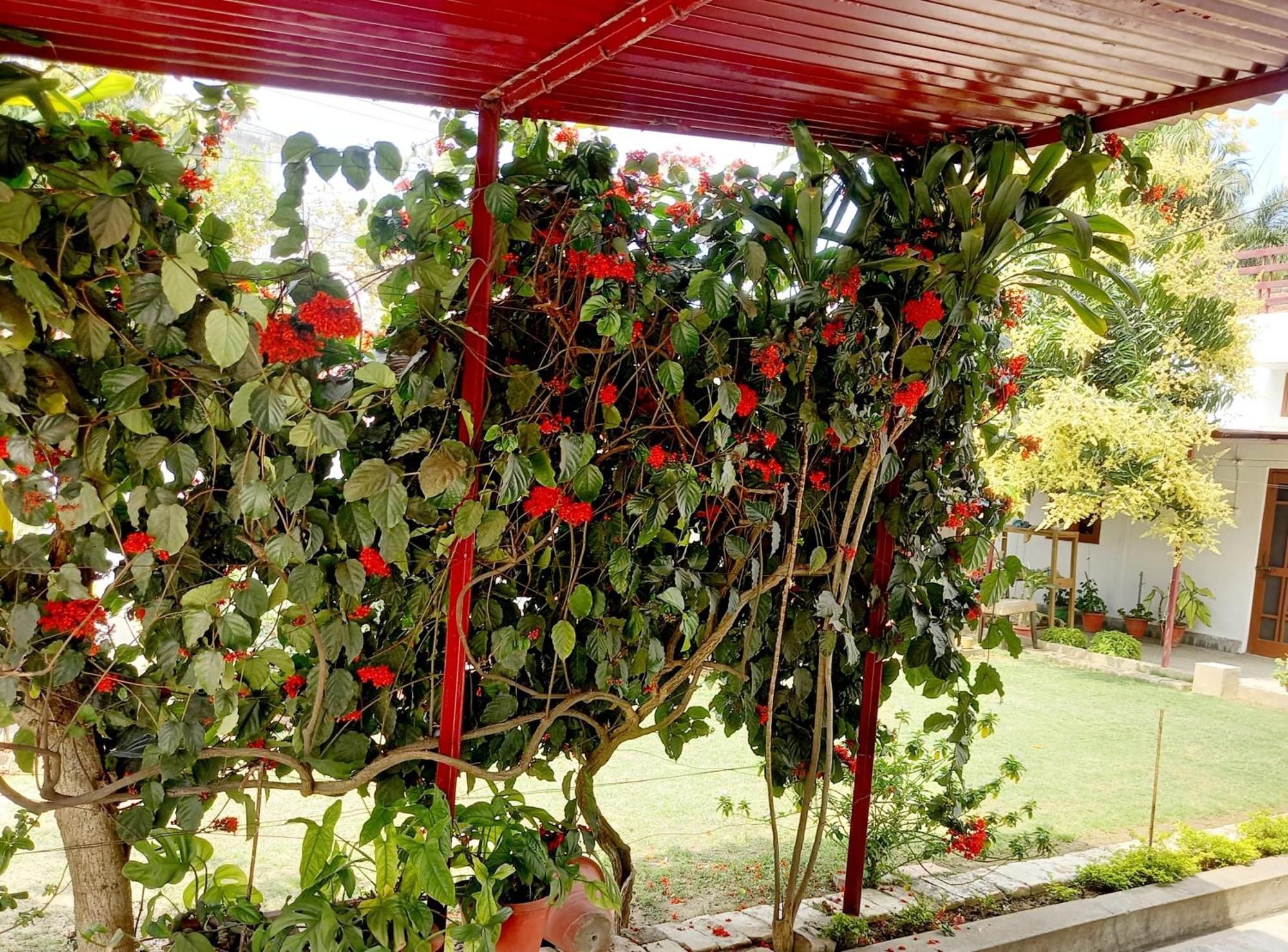 Garden View Residency Bed & Breakfast Lucknow Exterior photo